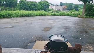 湖北的牛～～