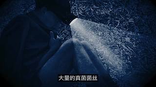 科学黑历史