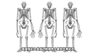 中国海钓王游钓世界