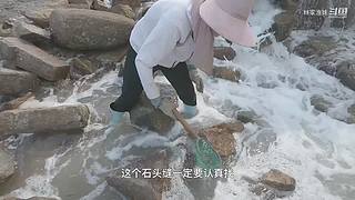 渔妹带你来赶海，来看有没有你没见过的