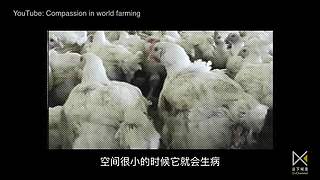 当下频道的当下世界