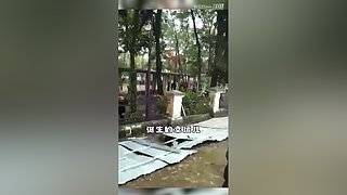 妈见打ovo的直播间