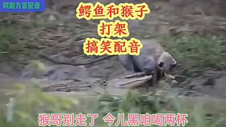阿魁方言配音的直播间