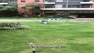 一个乐颜儿的直播间