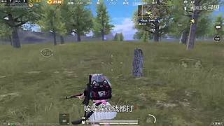 月殿玉兔直播间