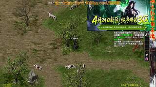 千年音乐吧