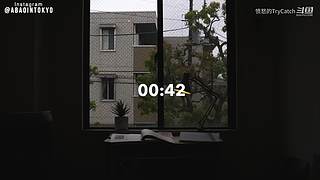 重生之奋发涂墙
