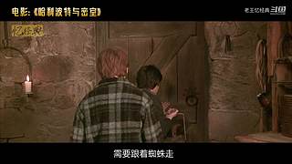 【老王】经典电影看不停