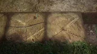 失眠症福音~~~~~~~~~~~