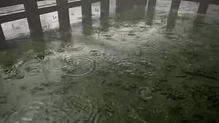 失眠症福音~~~~~~~~~~~