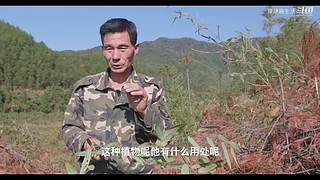 娱乐大于一切 10440627