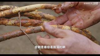 娱乐大于一切 10440627