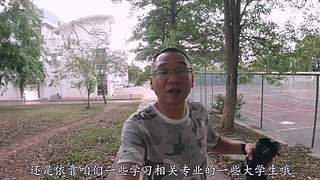 村霸普法，贼喊捉贼？
