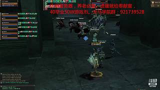 天堂2 reborn 4章－次元泥石流