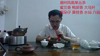 潮州凤凰单丛茶