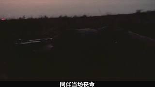 【熊猫电影】超详细的电影解说