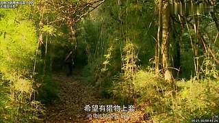 贝爷纪录片 点播，点播单，在鱼吧置顶！