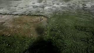 失眠症福音~~~~~~~~~~~