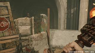 随缘播。随缘看