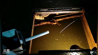 王者  最后的冲刺