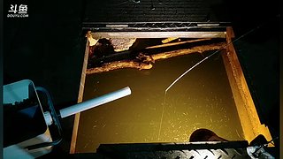 王者  最后的冲刺