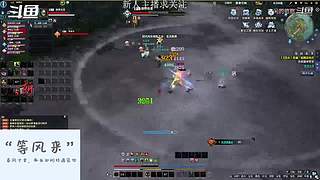 新区DD团招打手