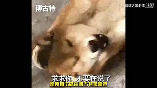 每天一分钟，笑侃体坛篮坛那些事