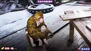 公会战攻略，赢取额外奖励