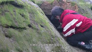 渔妹带你来赶海，来看有没有你没见过的