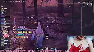 【有车位】 笨蛋胡桃