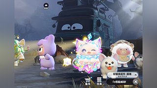白杨plus的直播间