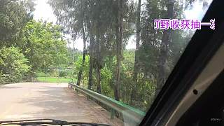 流窜打野赛