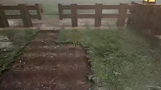 失眠症福音~~~~~~~~~~~