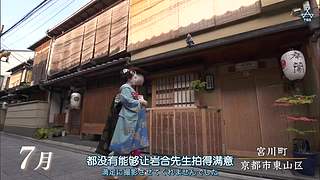 猫步走世界，萌宠24小时轮播