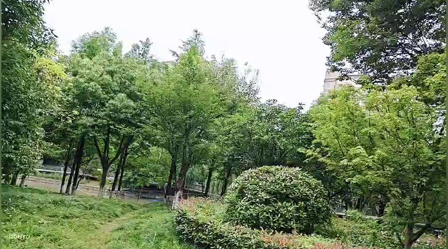 小王的直播间 12817646