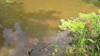 流窜打野赛