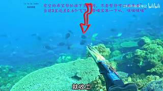 【有车位】一个厉害的甜妹儿OvO