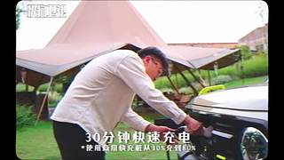 狗哥Fast Dog