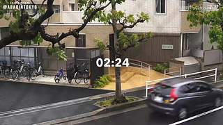 重生之奋发涂墙