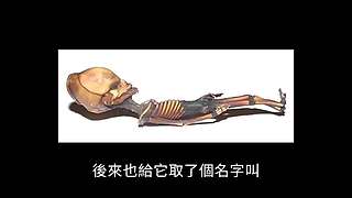 伴你入梦的娱乐科普