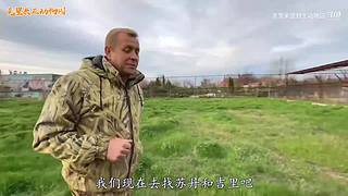 直接把狮子推下水！俄罗斯饲养员太勇敢了