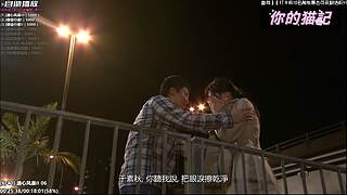 ⌯猫记⌯你的宝藏煲剧间