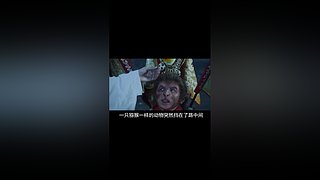神奇诡异，尽在果库科幻所长