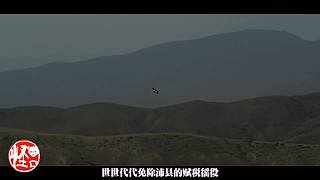 讲点怪口小历史