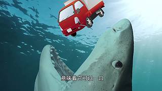 【所长来了】打开宇宙的未知