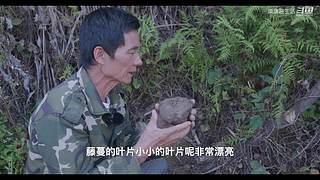娱乐大于一切 10440627