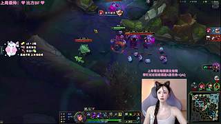 热情好客猪头三 1=4~