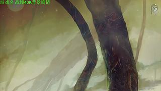 【管子】战锤40K背景 另类高能搞笑主播