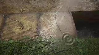 失眠症福音~~~~~~~~~~~