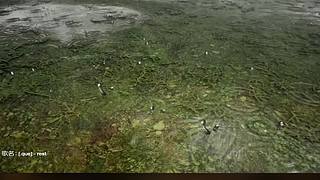 失眠症福音~~~~~~~~~~~